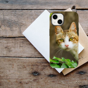 虎猫と白い猫とツタ iPhone 16ケース