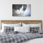 虎猫と白の美しい猫が下を見ている キャンバスプリント (インサイチュ (寝室))