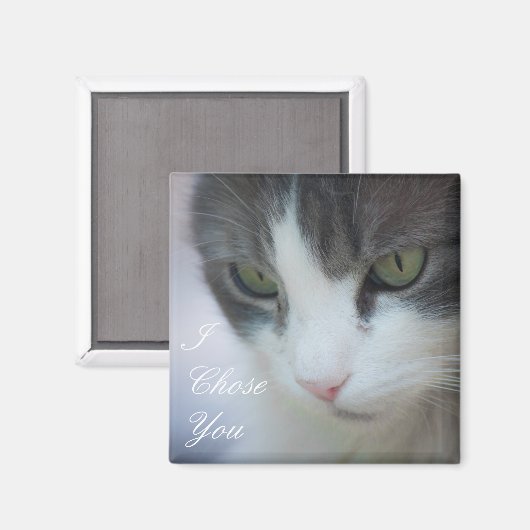 虎猫と白猫の視線 マグネット (正面/裏面)