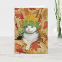 虎猫と白猫感謝祭、秋