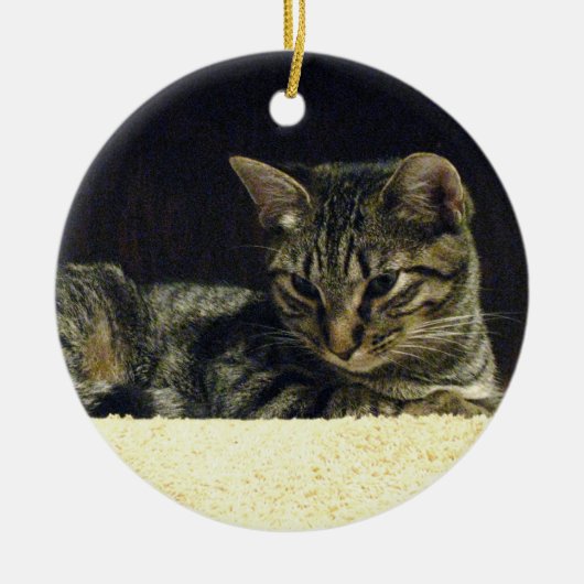 虎猫のオーナメント セラミックオーナメント (正面)
