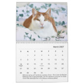 虎猫の場所のカレンダー カレンダー (3月 2027)