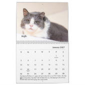 虎猫の場所のカレンダー カレンダー (1月 2027)