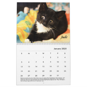 虎猫の場所の予定表 カレンダー