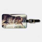 虎猫の子ネコの監視 ラゲッジタグ (正面横)