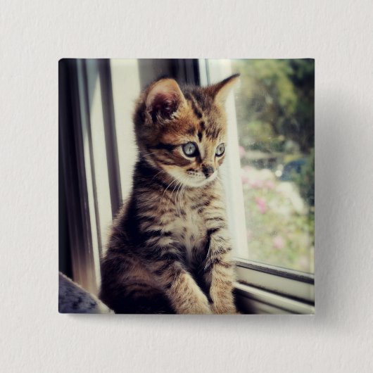 虎猫の子ネコの監視 缶バッジ (正面)