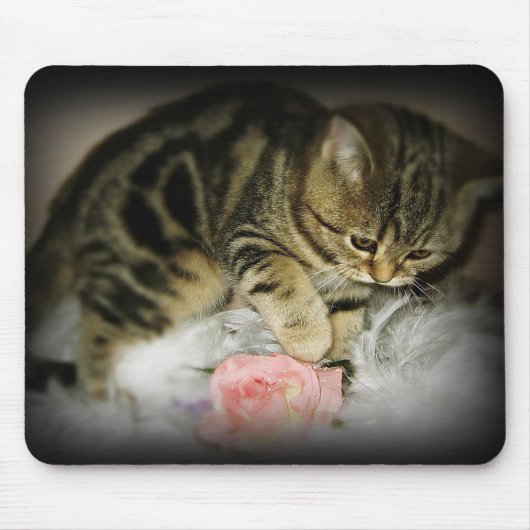 虎猫の子ネコのmousepad マウスパッド (正面)