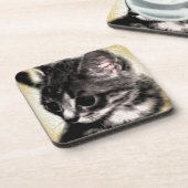 虎猫の子ネコ コースター (左側)