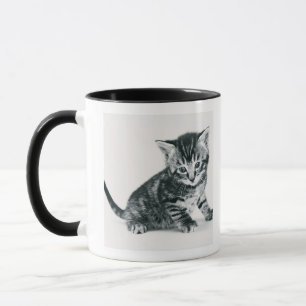 虎猫の子ネコ マグカップ