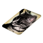 虎猫の子ネコ マグネット (左側)