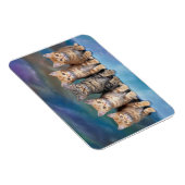 虎猫の子猫が並んだマグネット マグネット (右側)