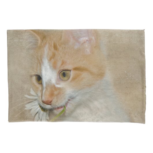 虎猫の子猫と白いデイジー 枕カバー (正面左)