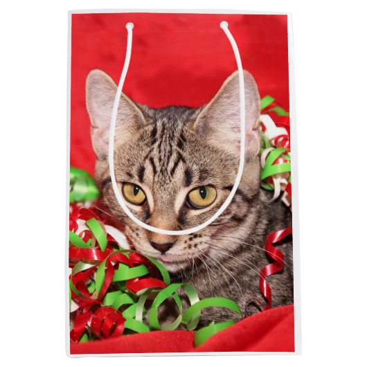 虎猫の子猫のクリスマス ミディアムペーパーバッグ (正面)