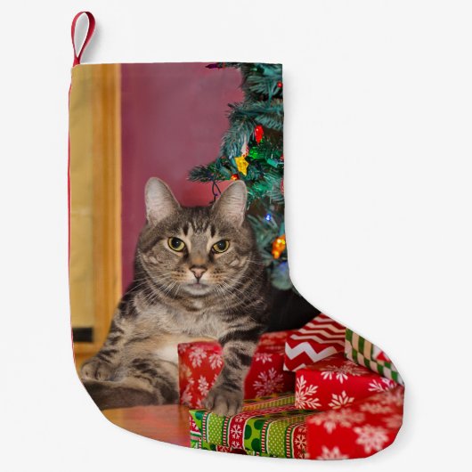 虎猫の子猫クリスマス スモールクリスマスストッキング (正面)