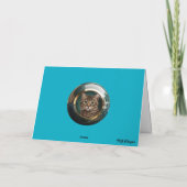 虎猫のGambit Greeting Card 案内状 (裏面)