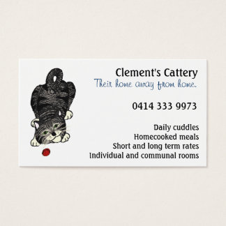 虎猫よくはしゃぐキッテン