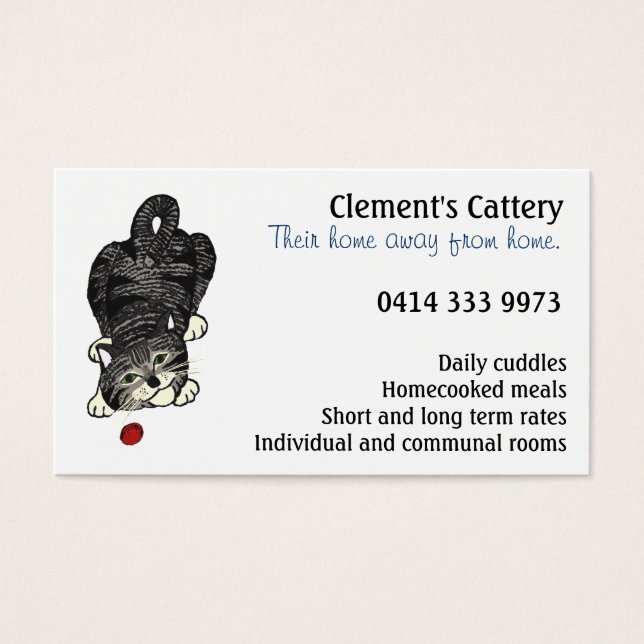 虎猫よくはしゃぐキッテン (正面)