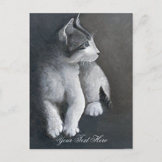 虎猫キッテン葉書 ポストカード (正面)