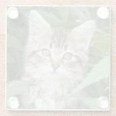虎猫キットンサンドストーンコースター ガラスコースター (裏面)