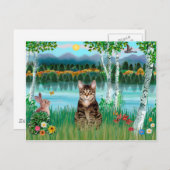 虎猫タイガーキャット – 樺の木 ポストカード (正面/裏面)