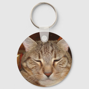 虎猫タイガー猫 キーホルダー