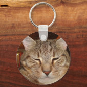 虎猫タイガー猫 キーホルダー (正面)