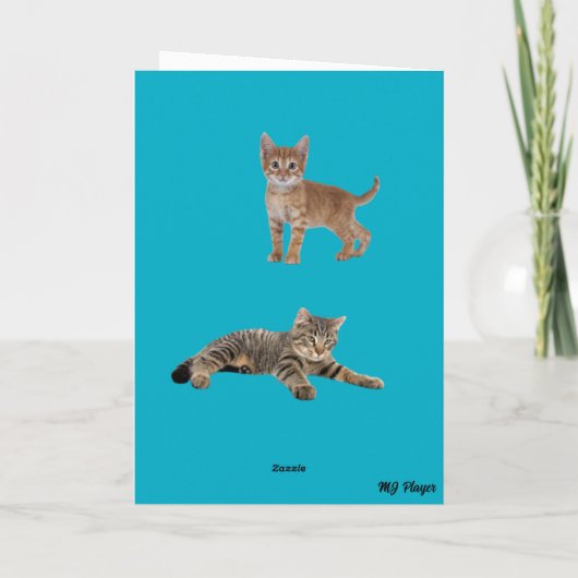 虎猫ツイスト カード (裏面)