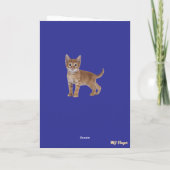 虎猫ツリーの救出。 カード (裏面)