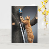 虎猫ツリーの救出。 カード (黄色い花)