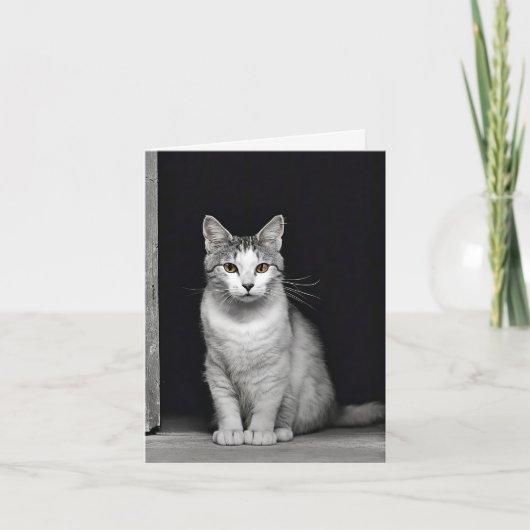 虎猫バーンキャット ノートカード (正面)