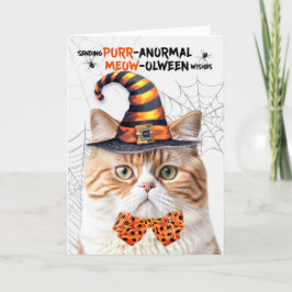虎猫ブリティッシュハロウィーンキャットパーノーマルMEOWolween シーズンカード