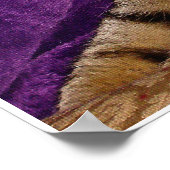 虎猫ブレイクポスター ポスター (角)