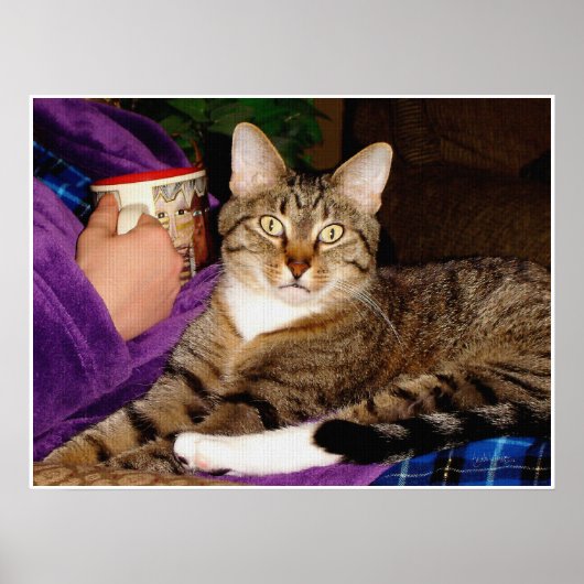 虎猫ブレイクポスター ポスター (正面)