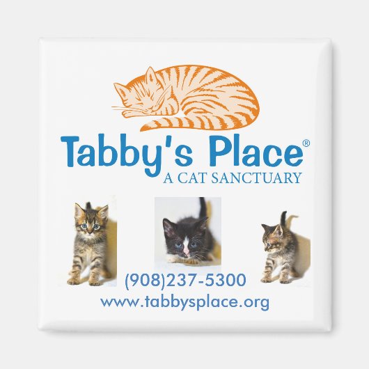 虎猫プレイスマグネット マグネット (正面)