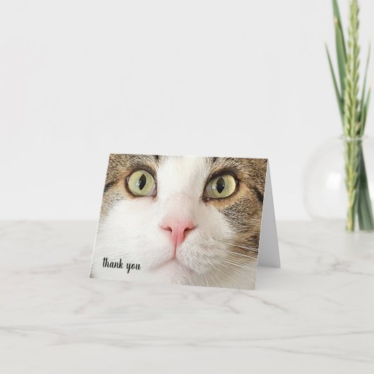 虎猫ペットケアサンキュー サンキューカード (正面)