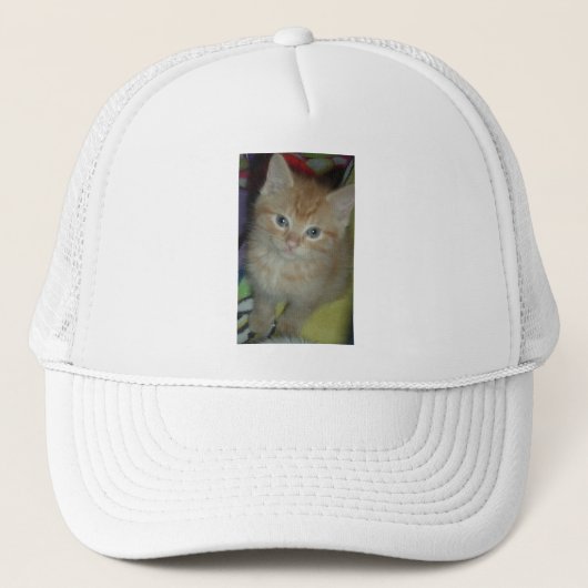 虎猫ラブ キャップ (正面)
