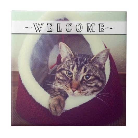 虎猫リラックスズインハットクローズアップ写真カスタム タイル (正面)