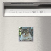 虎猫及び白猫マグネット マグネット (インサイチュ (食洗機))