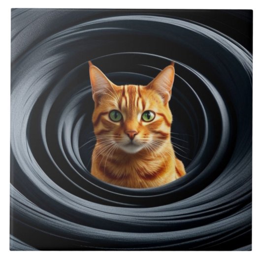 虎猫回旋装飾タイル タイル (正面)