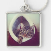 虎猫子猫のハットクローズアップ写真 キーホルダー (正面)