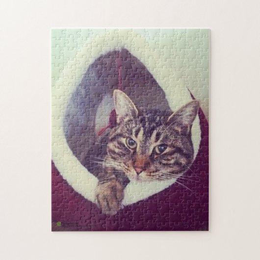 虎猫子猫のハットクローズアップ写真 ジグソーパズル (縦)