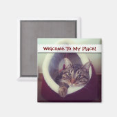 虎猫子猫のハットクローズアップ写真 マグネット (正面/裏面)