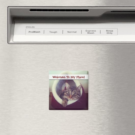 虎猫子猫のハットクローズアップ写真 マグネット (インサイチュ (食洗機))