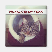 虎猫子猫のハットクローズアップ写真 マグネット (正面)