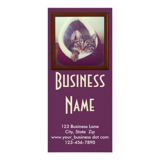 虎猫子猫インハット写真動物ペットケアサービス ラックカード (正面)