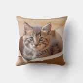 虎猫子猫ダンボール箱 クッション (裏面)