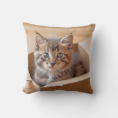 虎猫子猫ダンボール箱 クッション (正面)