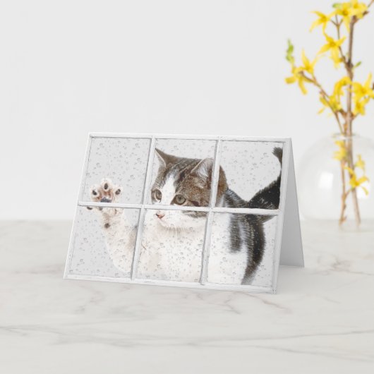 虎猫子猫 カード (黄色い花)