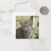 虎猫子 ノートカード (正面/裏面インサイチュ)