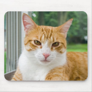 虎猫時間 マウスパッド